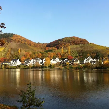 Appartement - Haus Budinger *